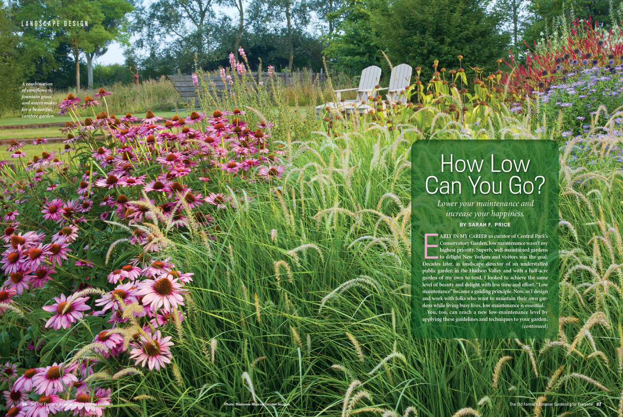 Gardening for Everyone - Volume 3 - Image 5