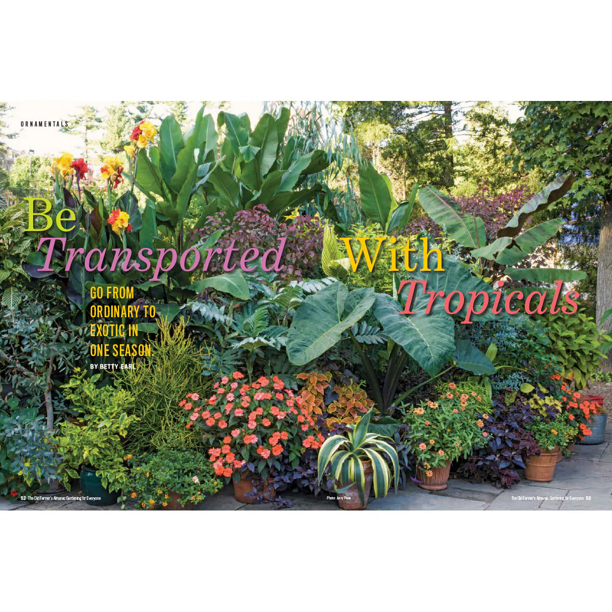 Gardening for Everyone - Volume 5 - Image 4