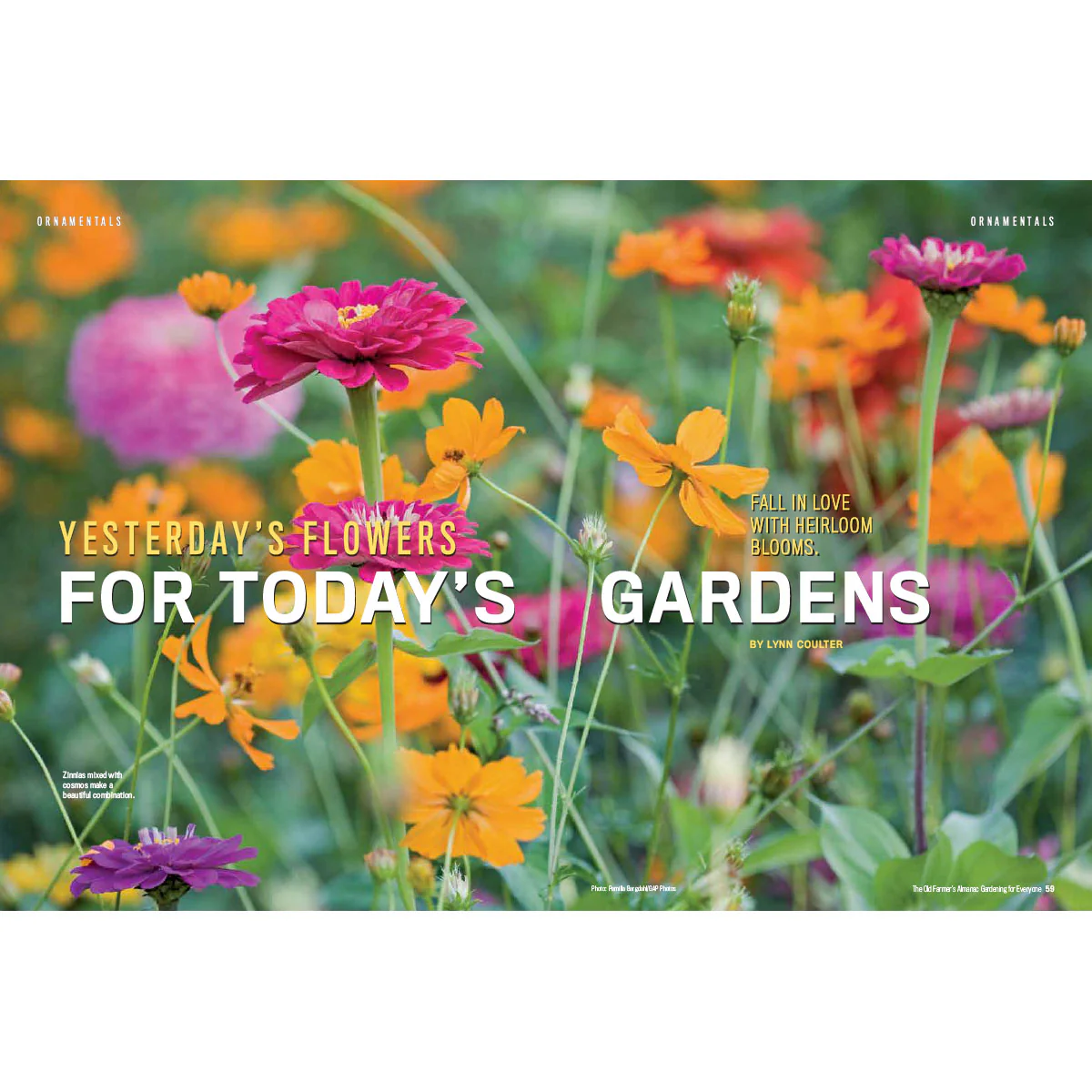 Gardening for Everyone - Volume 5 - Image 5