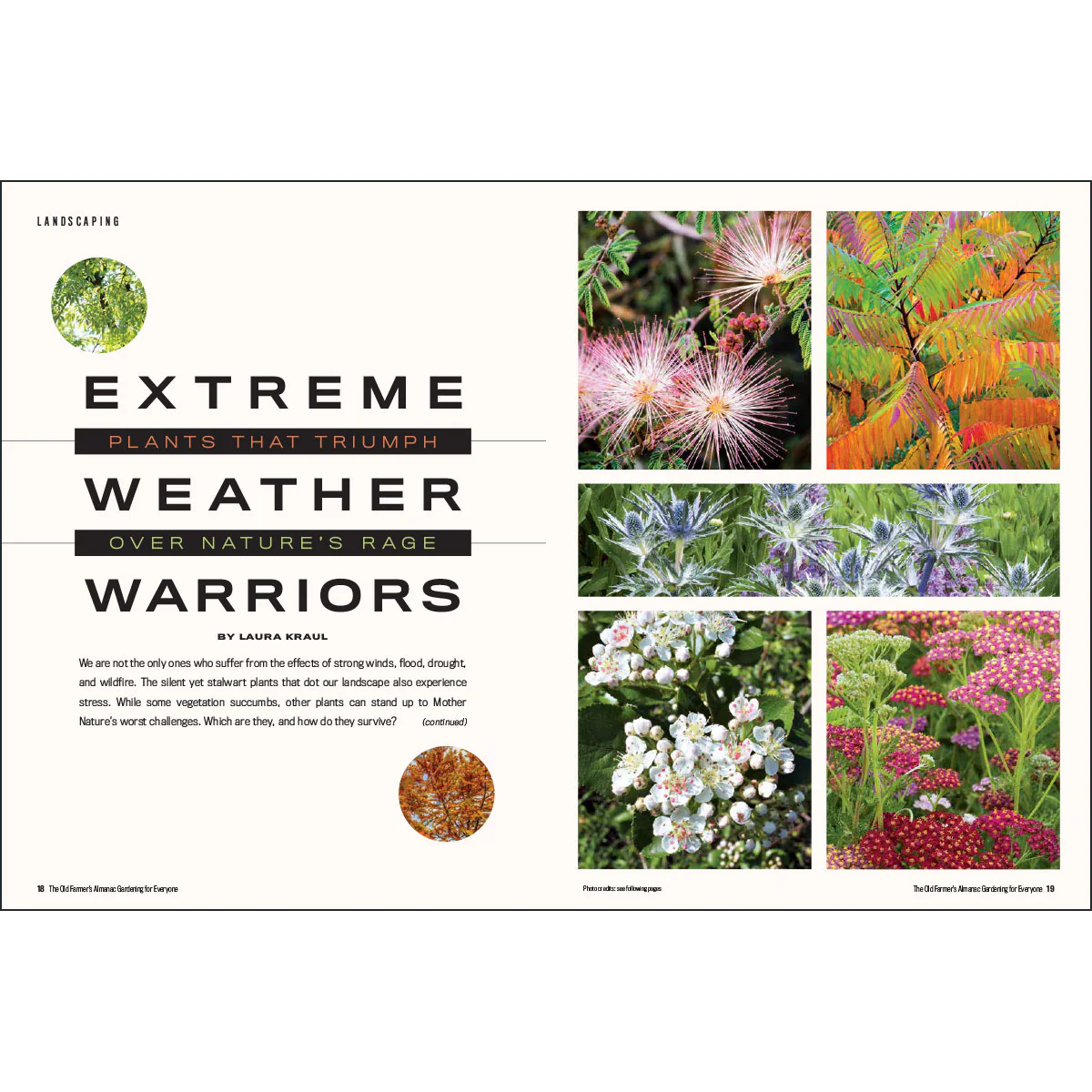 Gardening for Everyone - Volume 5 - Image 6