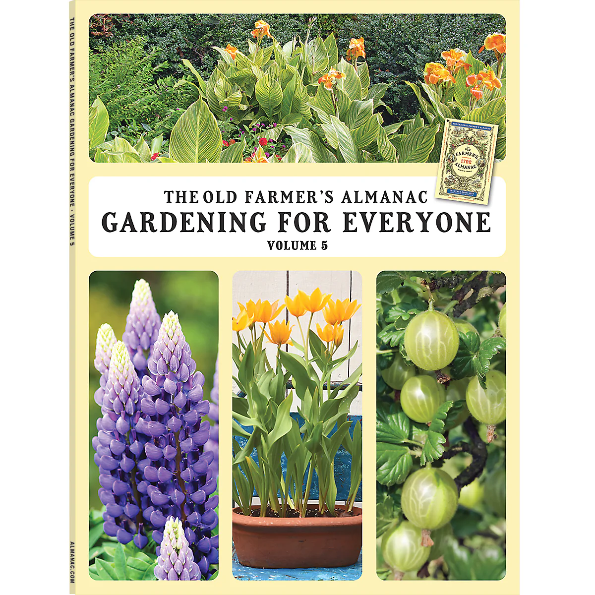 Gardening for Everyone - Volume 5 - Image 8