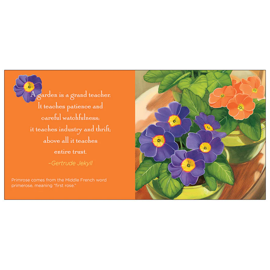 The Gift of Gardening - Image 4