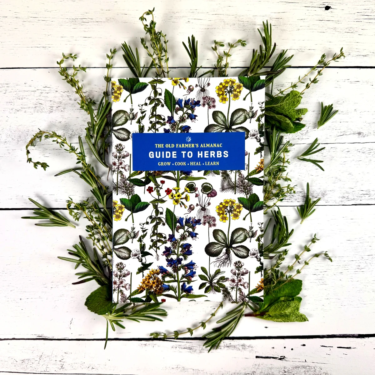 Guide to Herbs Grow & Cook Bundle - Image 2