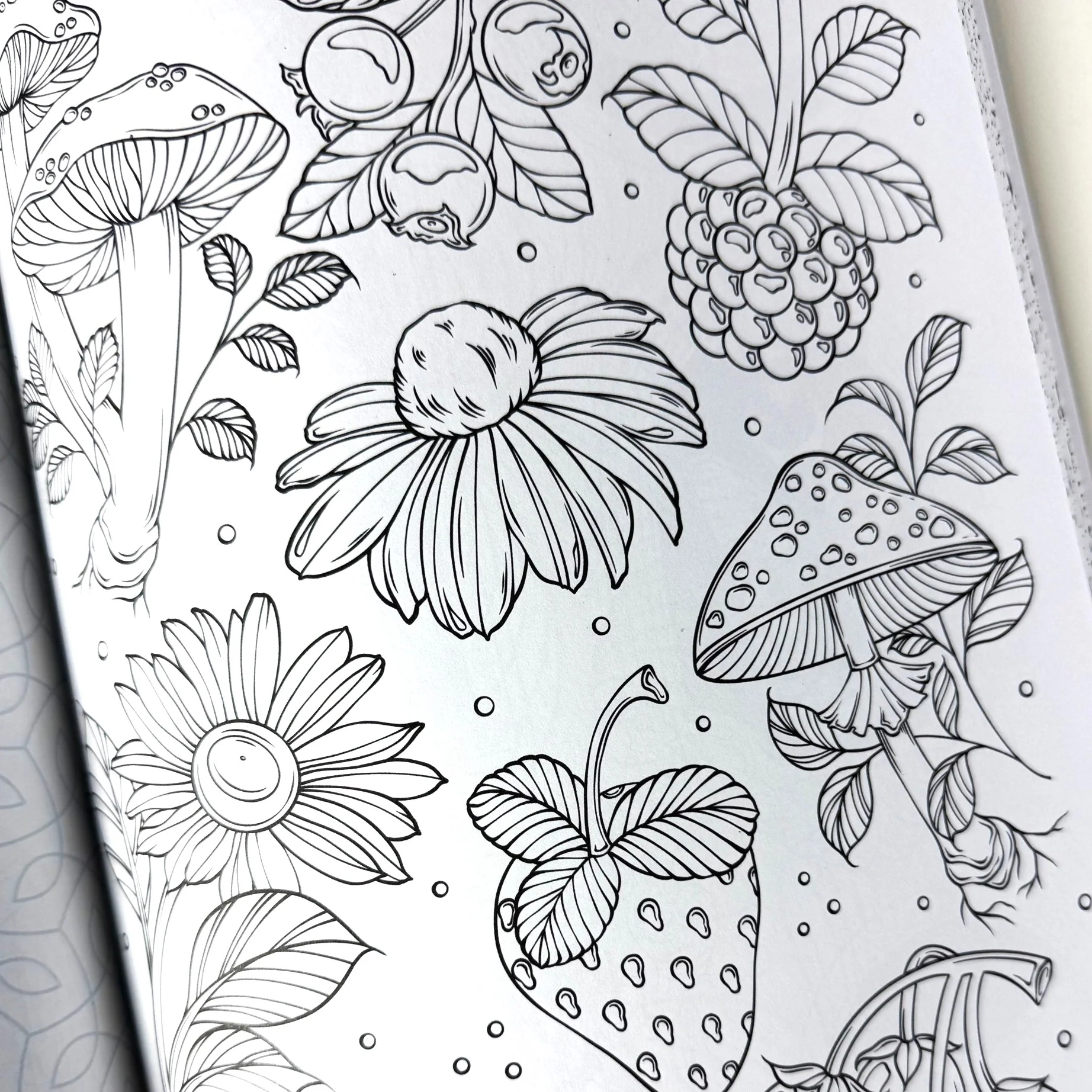 Healing Vibes - Coloring for Calm - Image 4