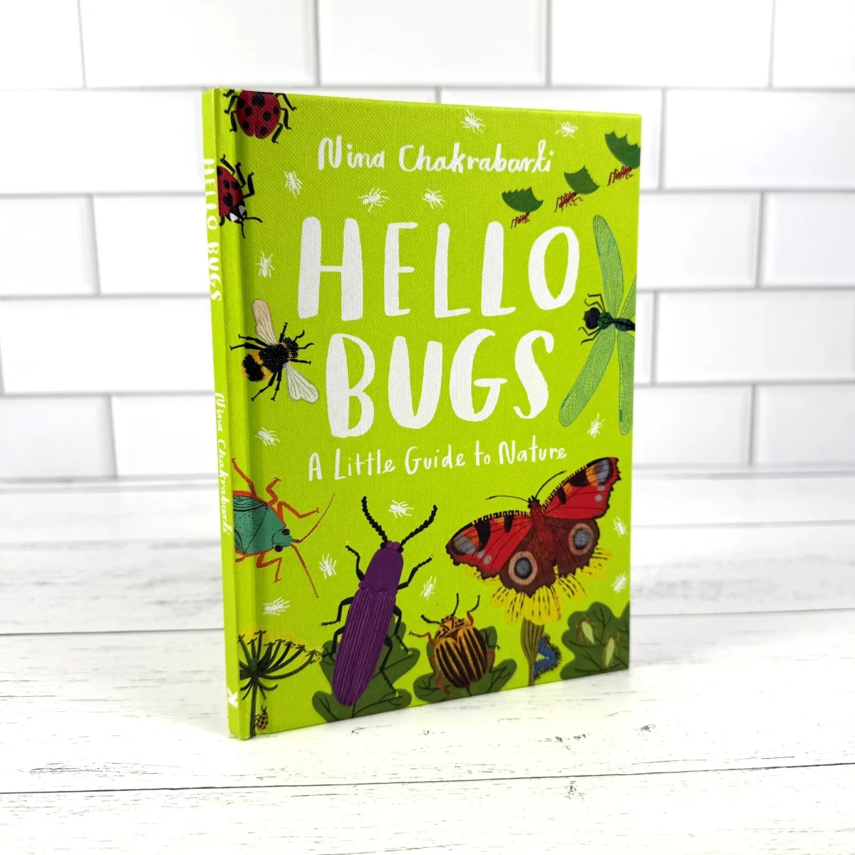 Hello Bugs: A Little Guide to Nature - Image 3