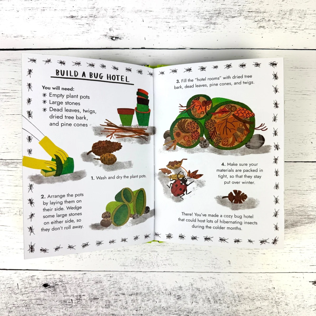 Hello Bugs: A Little Guide to Nature - Image 5