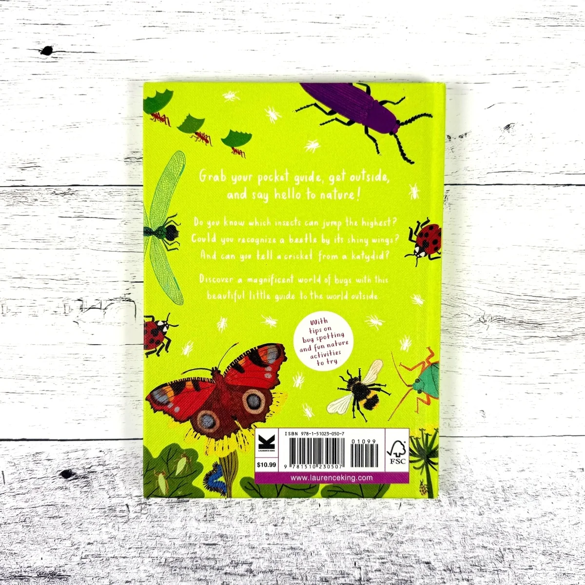 Hello Bugs: A Little Guide to Nature - Image 6