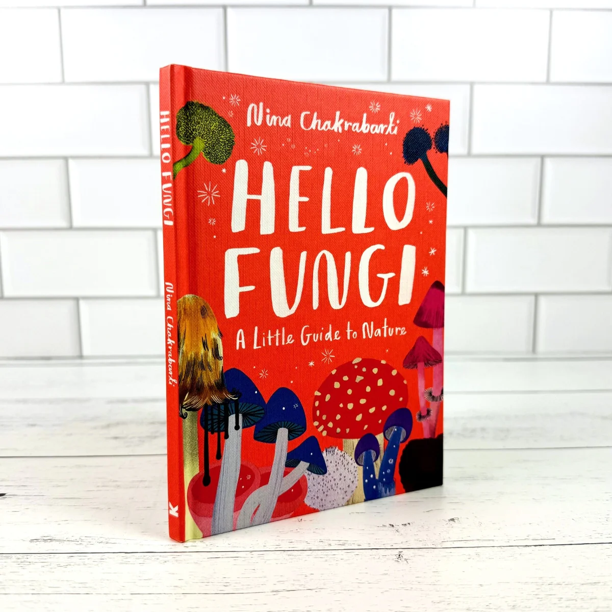 Hello Fungi: A Little Guide to Nature - Image 3