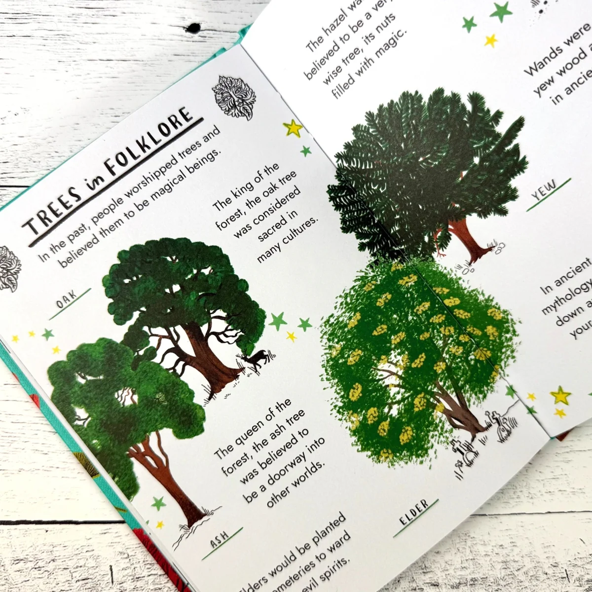 Hello Trees: A Little Guide to Nature - Image 3