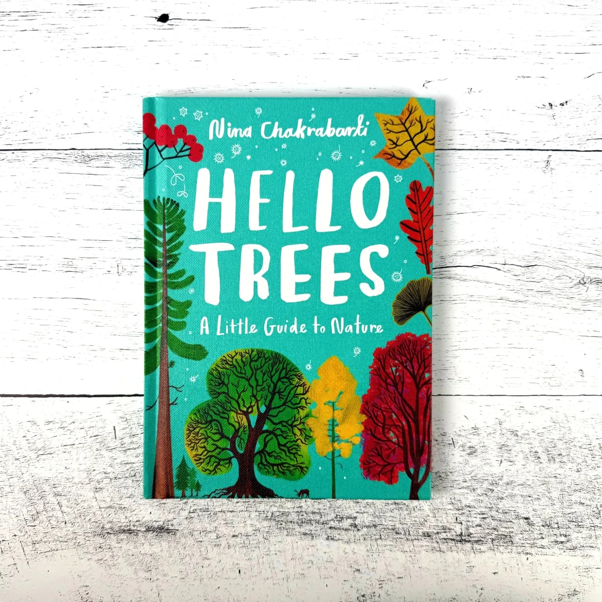 Hello Trees: A Little Guide to Nature - Image 4