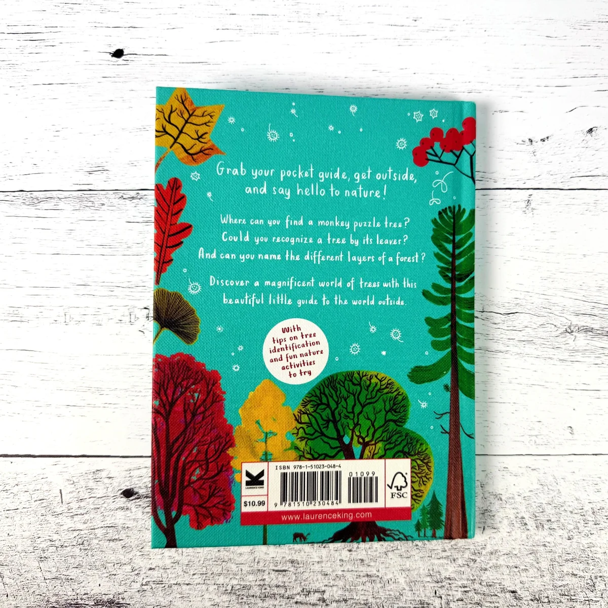 Hello Trees: A Little Guide to Nature - Image 6