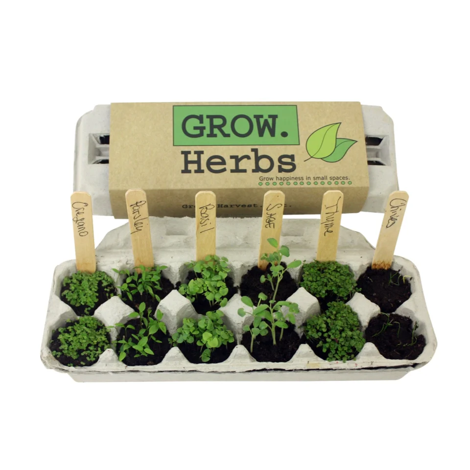 Herb Garden Grow Kit - Image 2