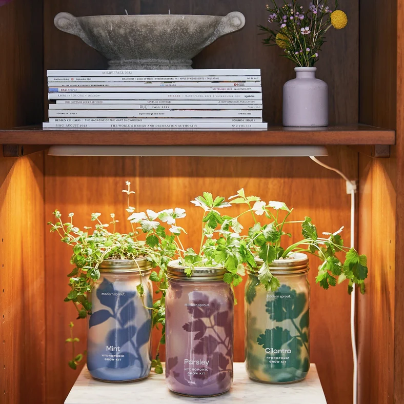 Herb Garden Jar - Basil - Image 3