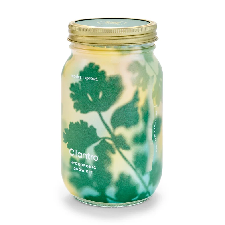 Herb Garden Jar - Cilantro - Image 7