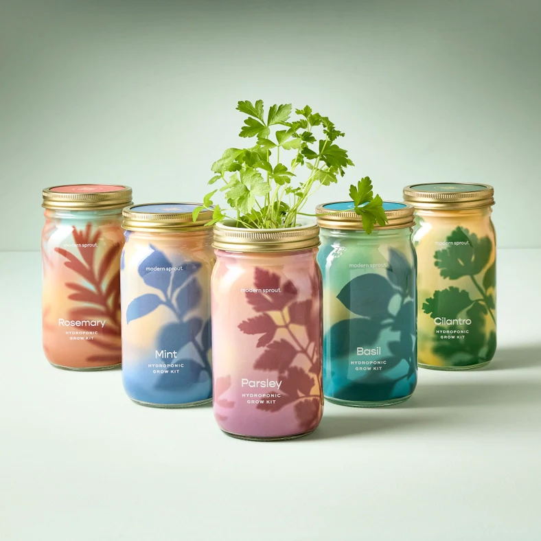 Herb Garden Jar - Lavender - Image 6