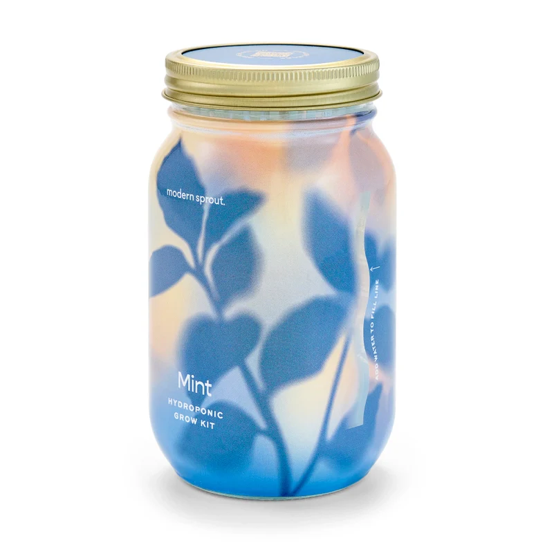 Herb Garden Jar - Mint - Image 5
