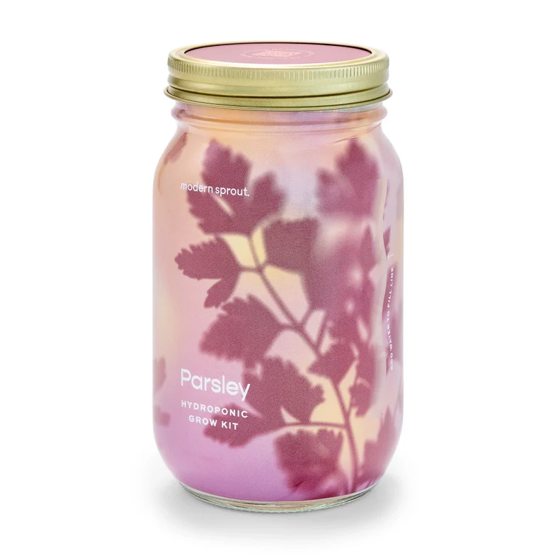 Herb Garden Jar - Parsley - Image 4