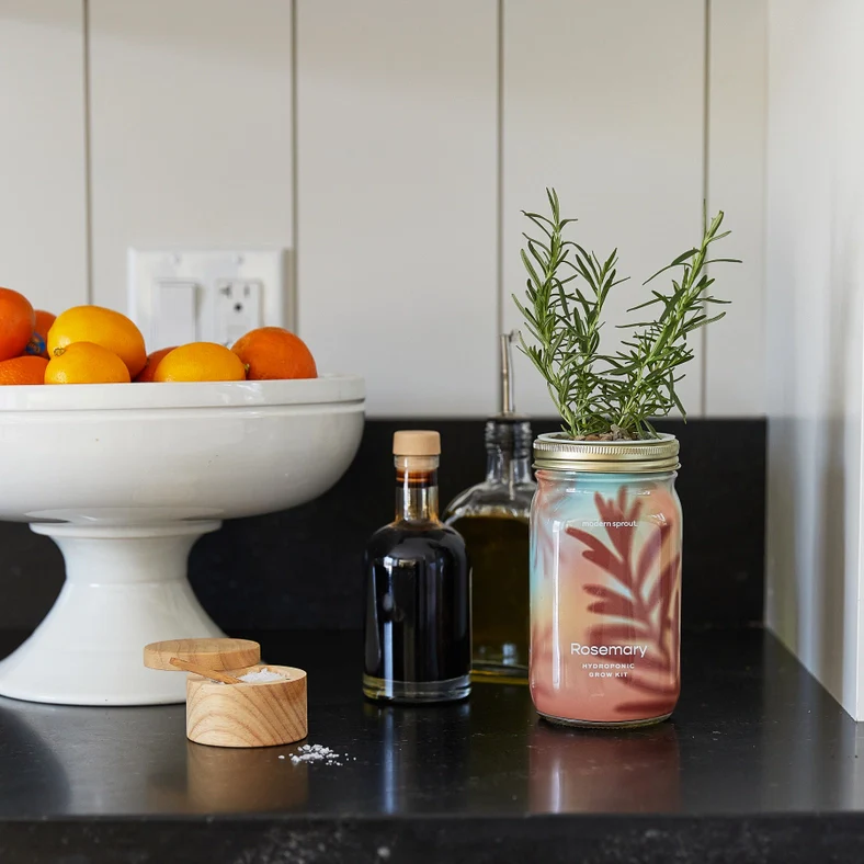 Herb Garden Jar - Rosemary - Image 2