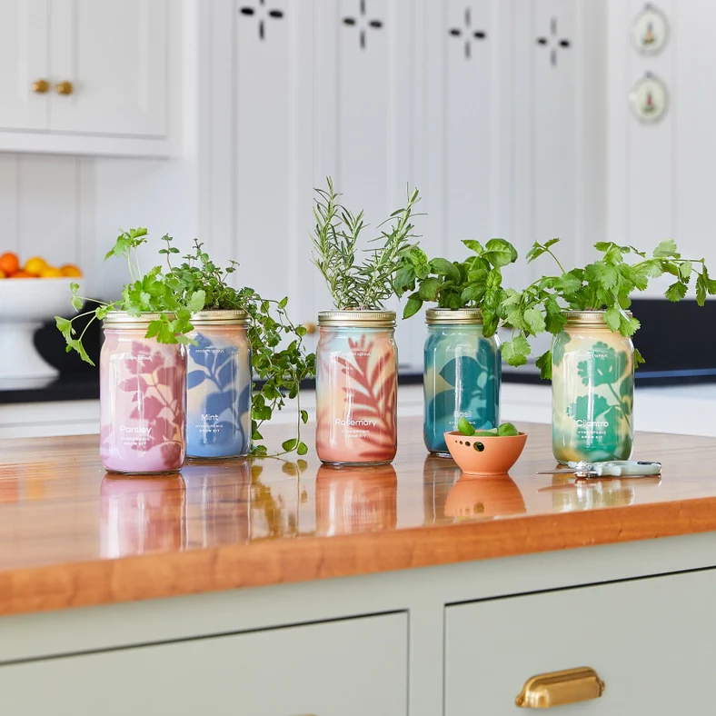 Herb Garden Jar - Mint - Image 2