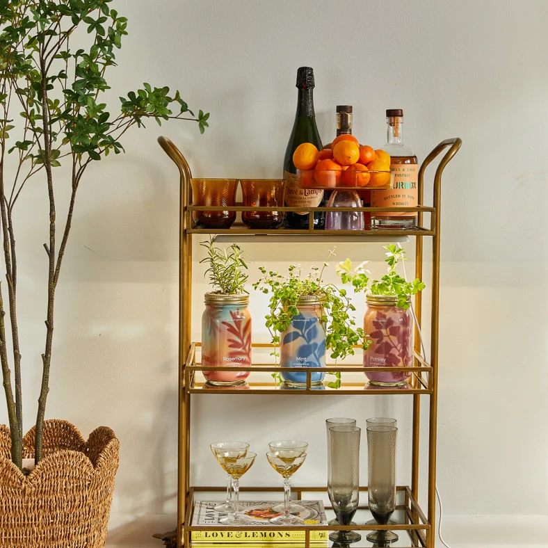 Herb Garden Jar - Mint - Image 3