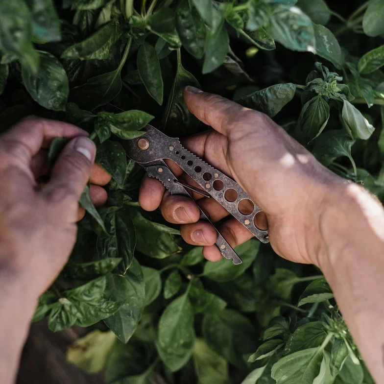Herb Harvest + Strip Tool - Image 4