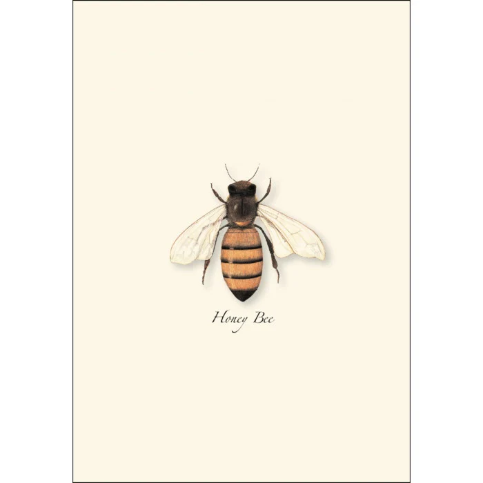 Honey Bee Notecards - Image 2