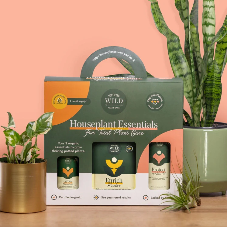 Houseplant Care Essentials Kit - Image 3