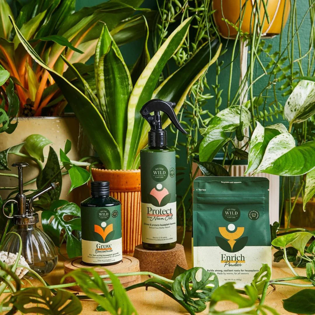 Houseplant Care Essentials Kit - Image 4