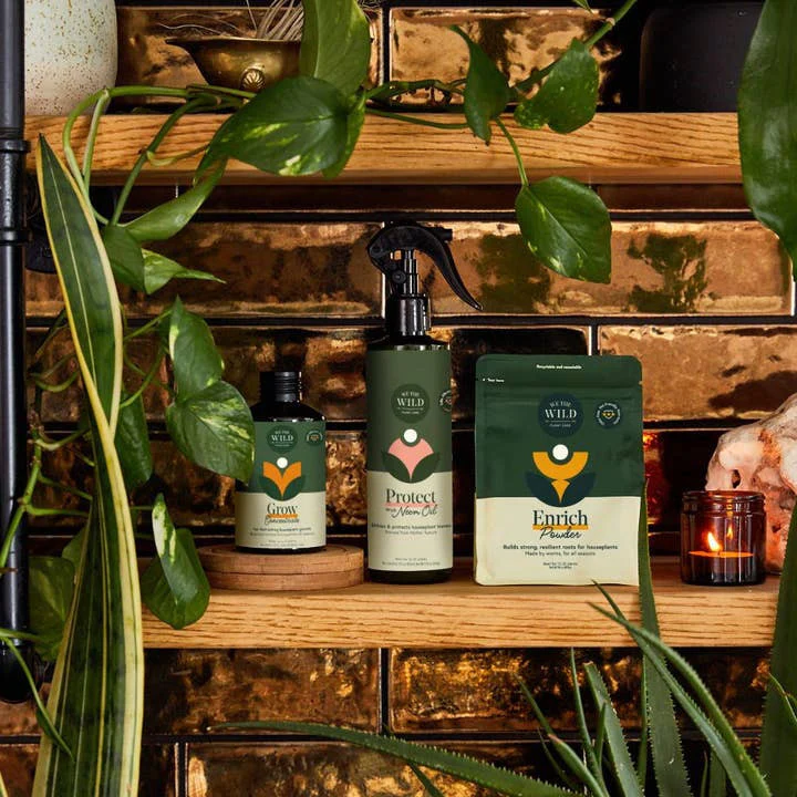 Houseplant Care Essentials Kit - Image 5