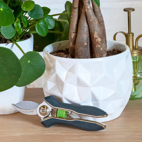 Houseplant Pruner - Image 3