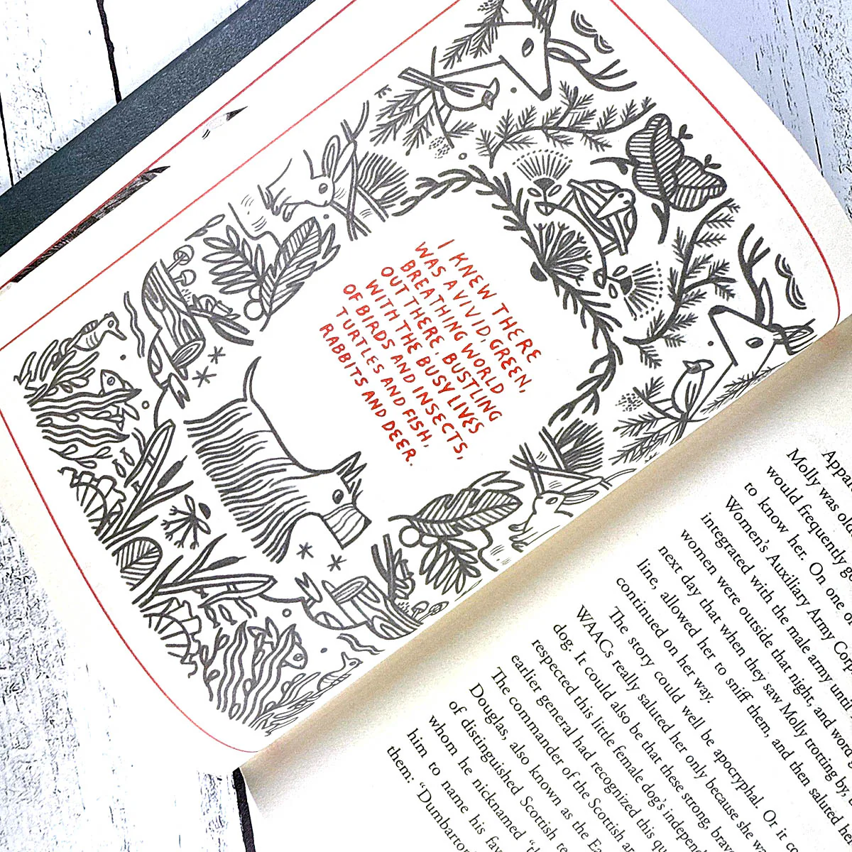 How to Be a Good Creature: A Memoir in Thirteen Animals - Image 5