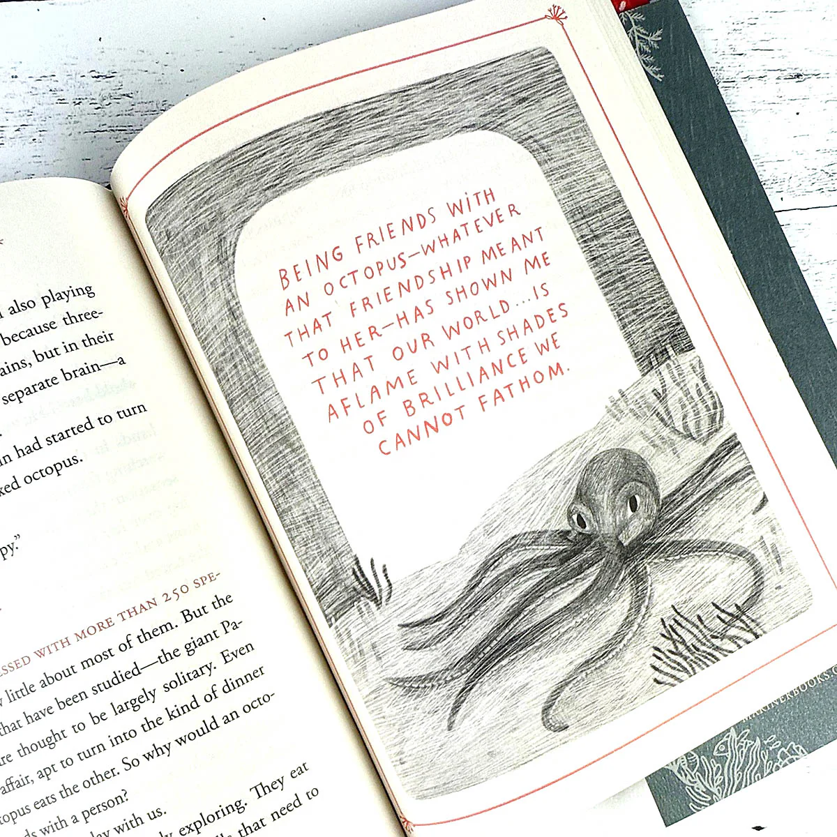 How to Be a Good Creature: A Memoir in Thirteen Animals - Image 7