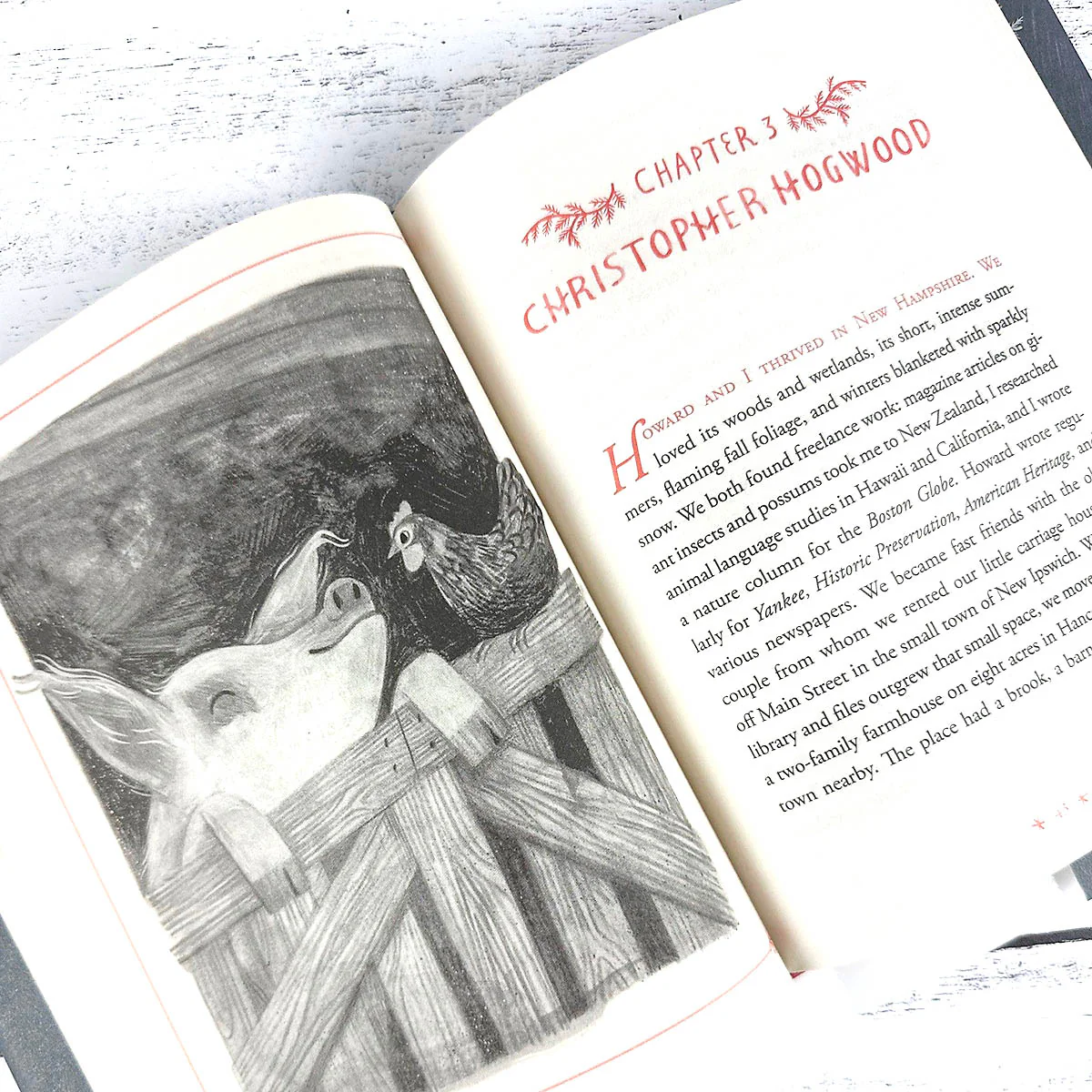 How to Be a Good Creature: A Memoir in Thirteen Animals - Image 9