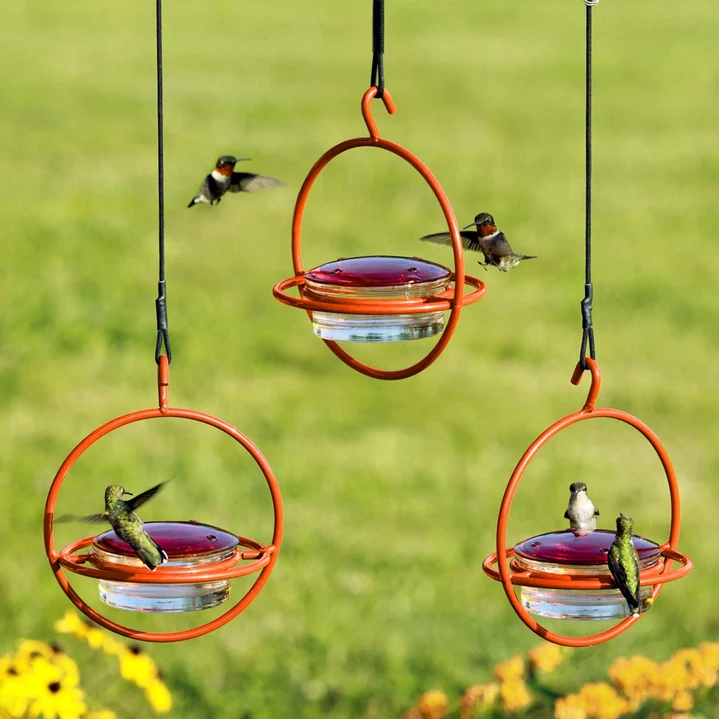 Hummble Bold Hummingbird Feeder - 3 colors - Image 12
