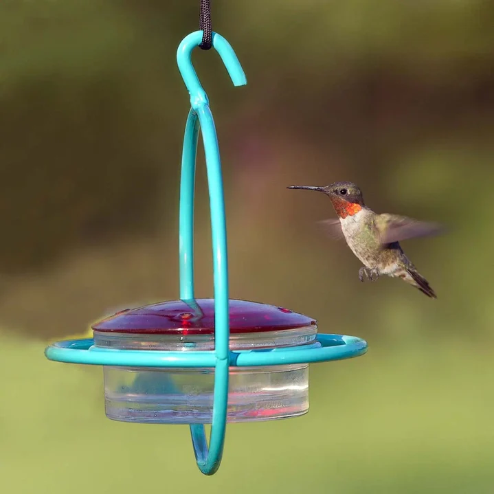 Hummble Bold Hummingbird Feeder - 3 colors - Image 4