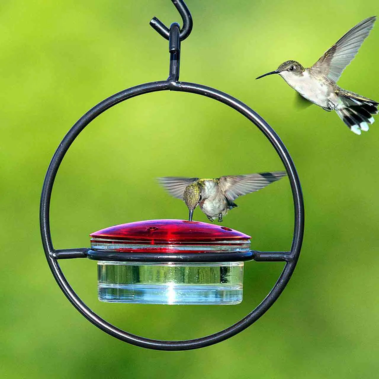 Hummble Slim Hummingbird Feeder - Image 3