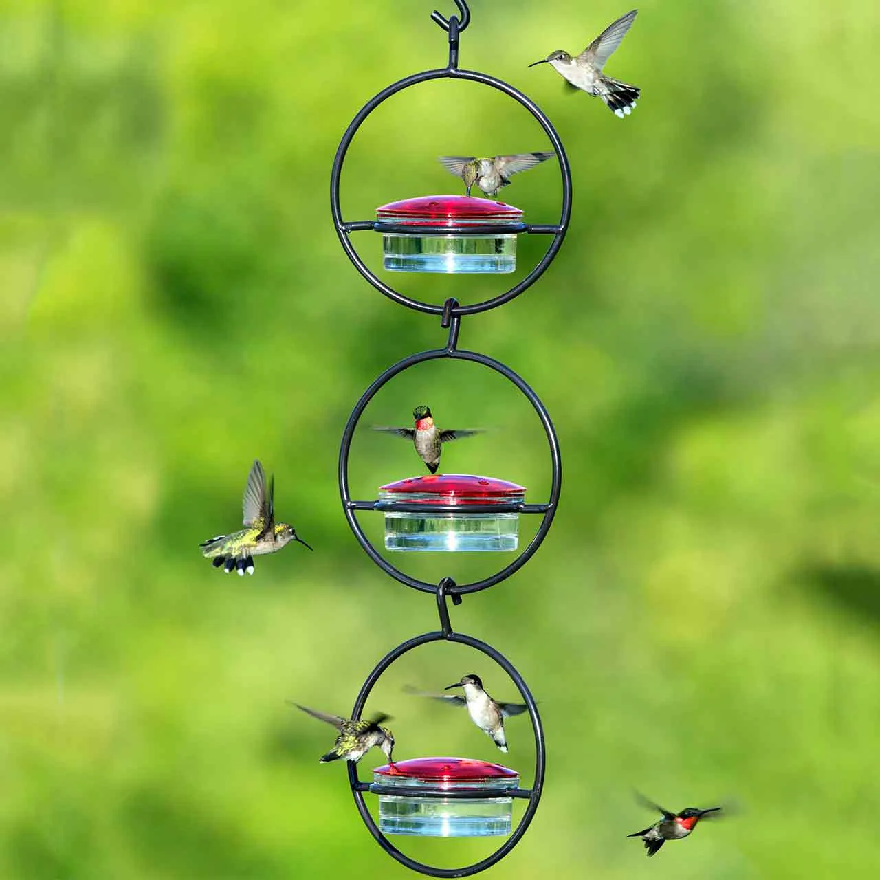 Hummble Slim Hummingbird Feeder - Image 4