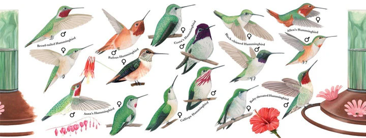 Hummingbirds Large Mug - Image 3