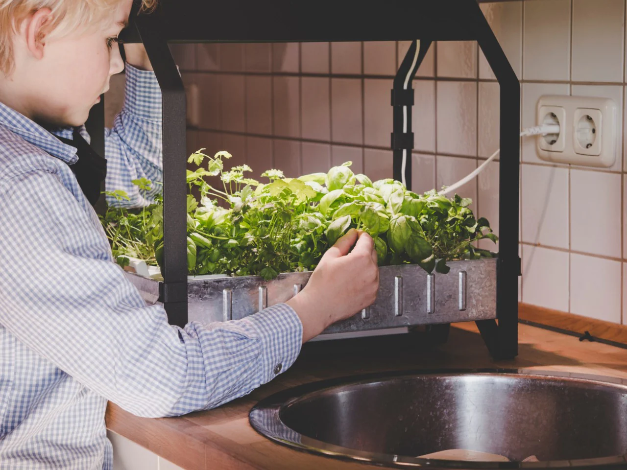 Hydroponics Gardening 101 Webinar  Recording - Image 2