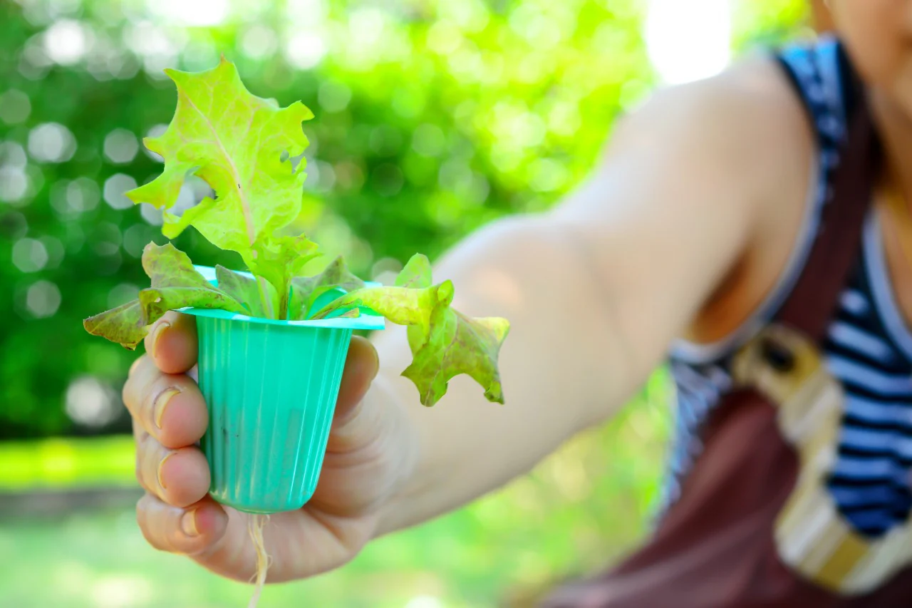 Hydroponics Gardening 101 Webinar  Recording - Image 5