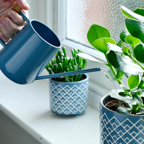 Indoor Watering Can - Image 6