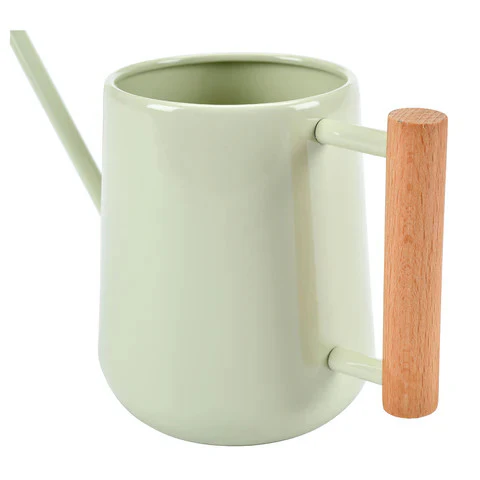 Indoor Watering Can - Image 8