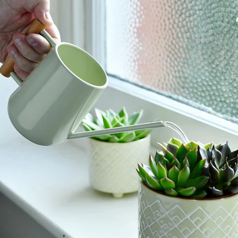 Indoor Watering Can - Image 9