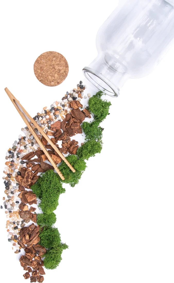Jar Terrarium with Soil and Moss Garden Crafts Kit - Image 3