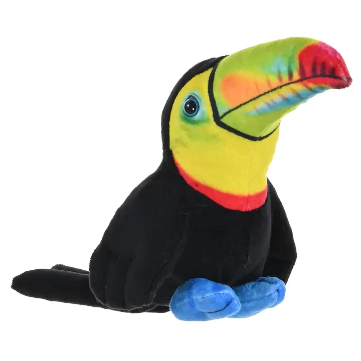 Almanac for Kids - Toucan Fun Bundle - Image 4