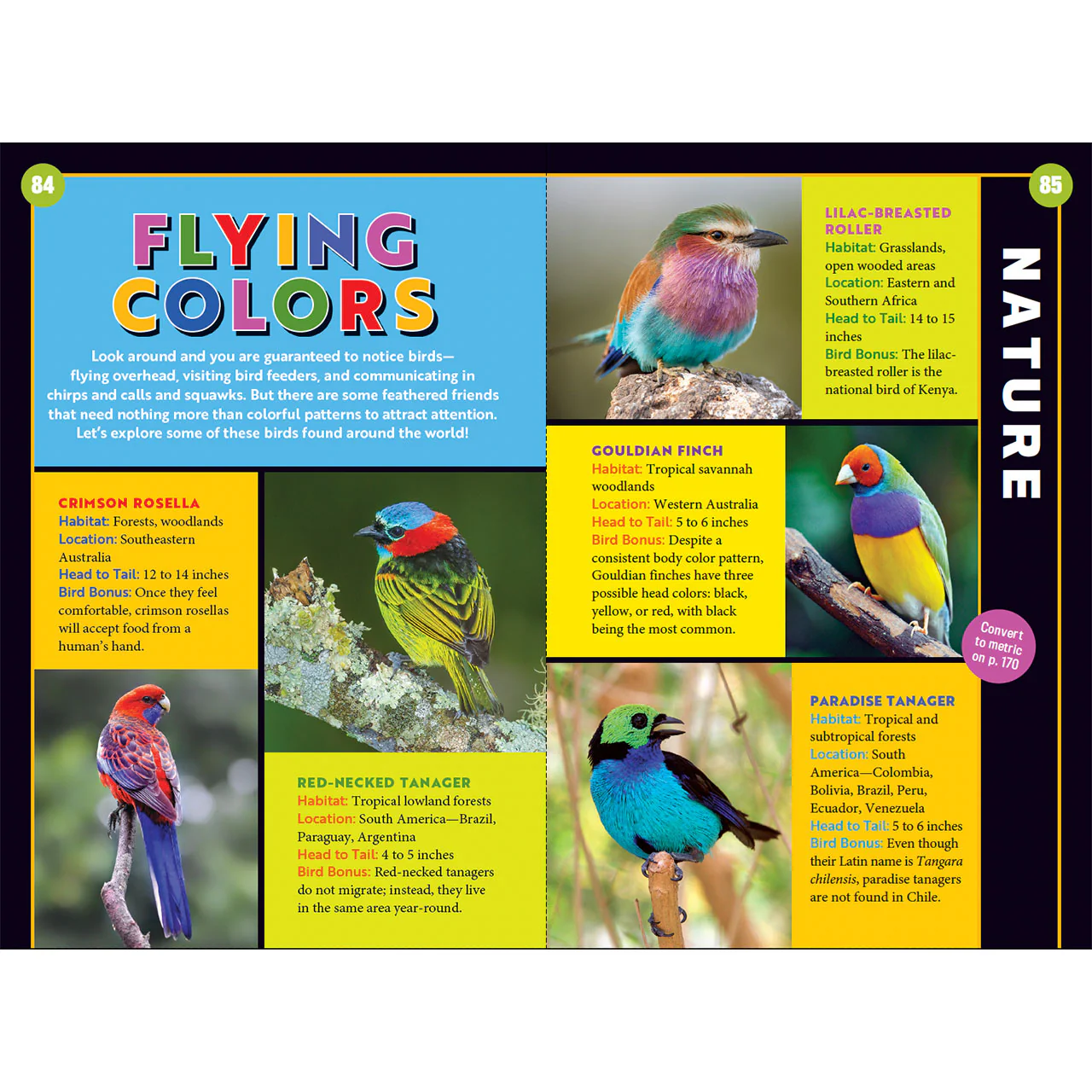 Almanac for Kids - Toucan Fun Bundle - Image 7
