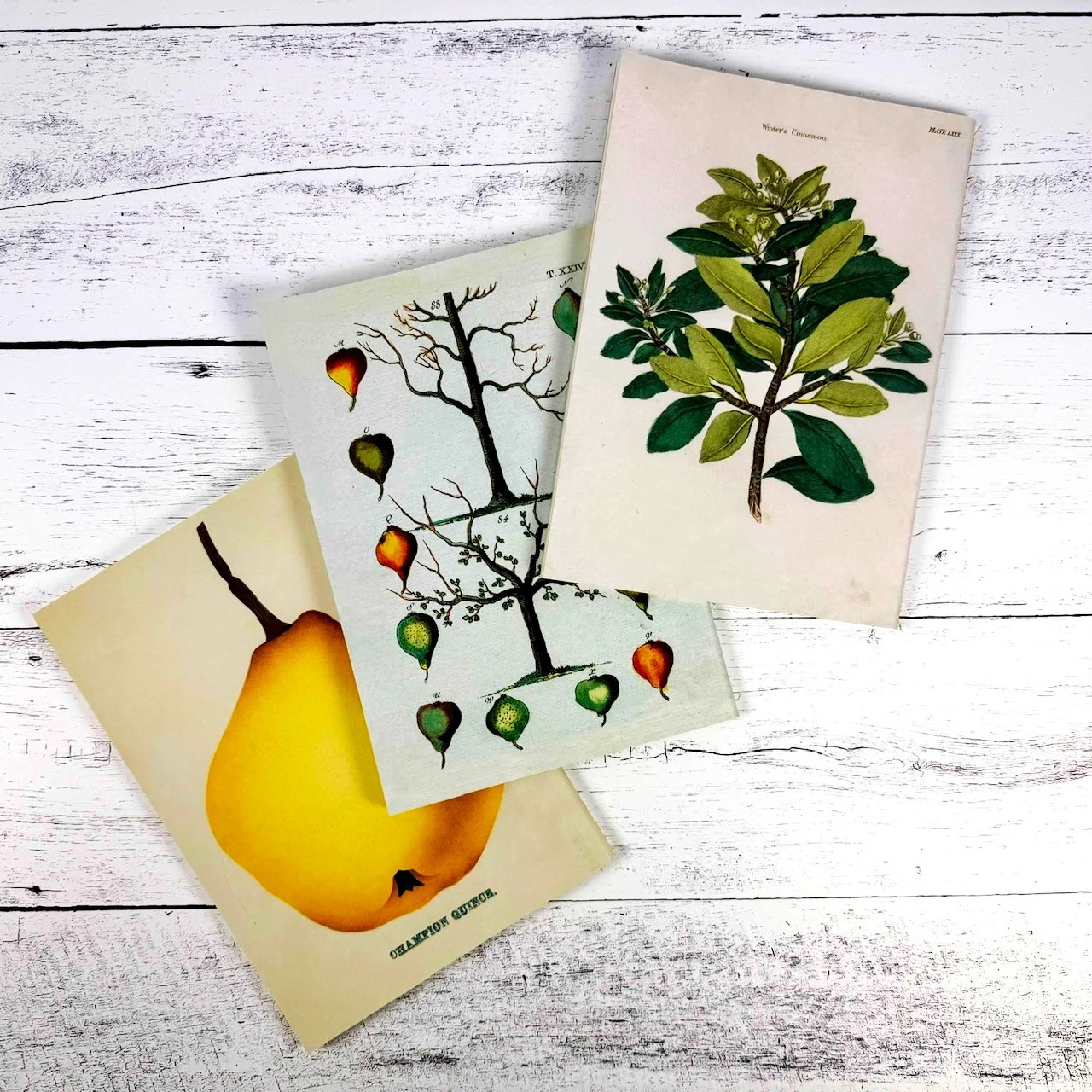 Kitchen Delights Notebooks - Set of 3 - Image 3
