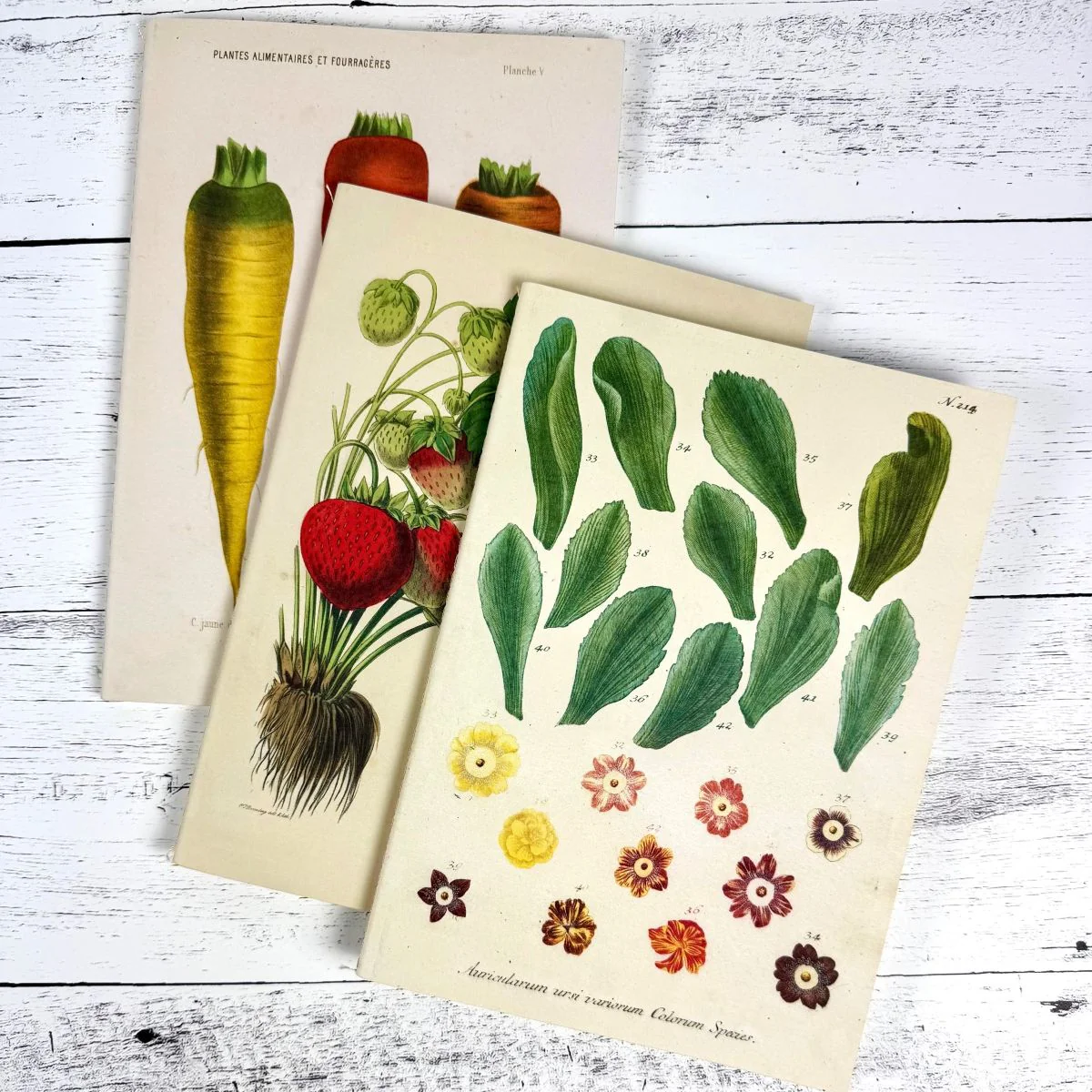 Kitchen Delights Notebooks - Set of 3 - Image 4