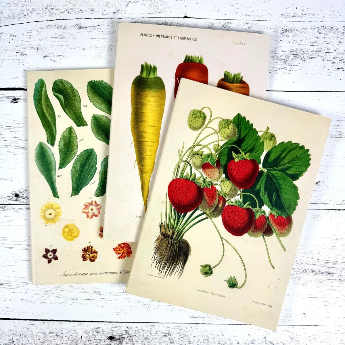 Kitchen Delights Notebooks - Set of 3 - Image 5