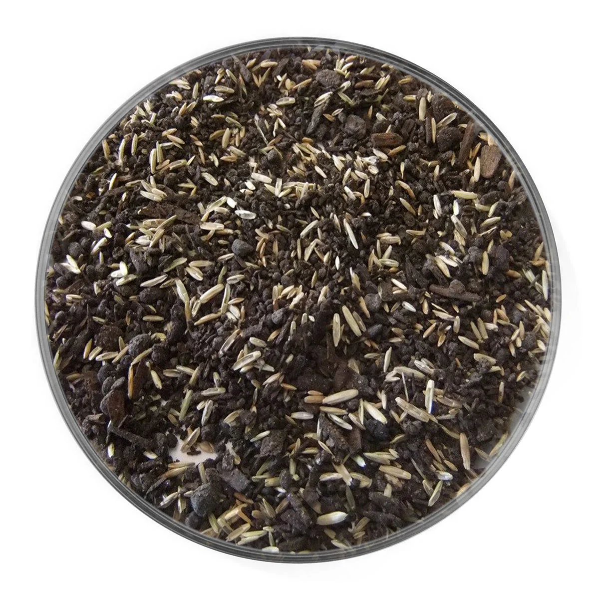 The Old Farmer's Almanac Lawn Repair Premium Grass Seed & Compost Blend - 1lb. Bag - Image 2